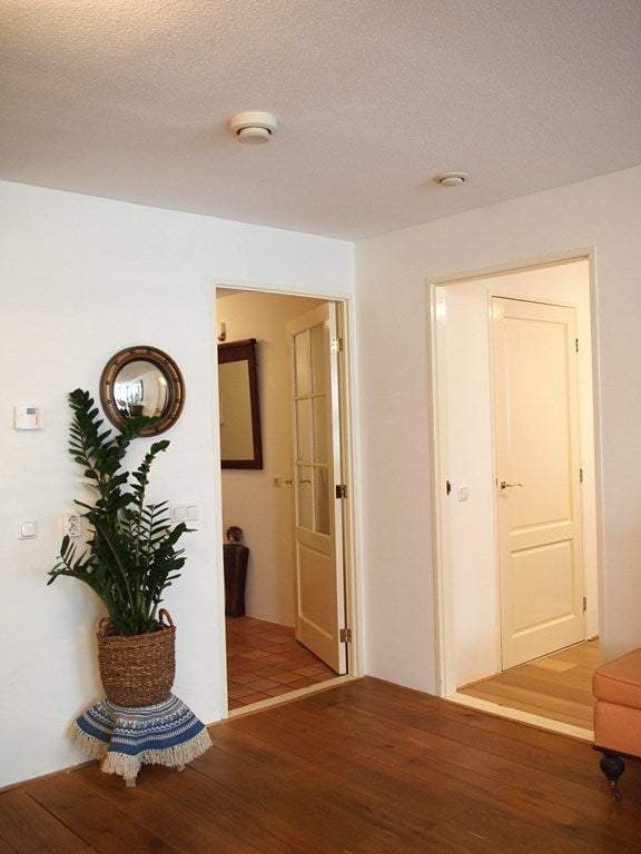 Flat Laan van Roos en Doorn, Den Haag - For Rent