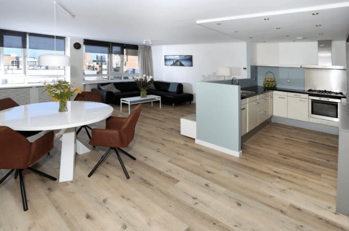 Penthouse Appartement Gevers Deynootweg, Den Haag - Te Huur