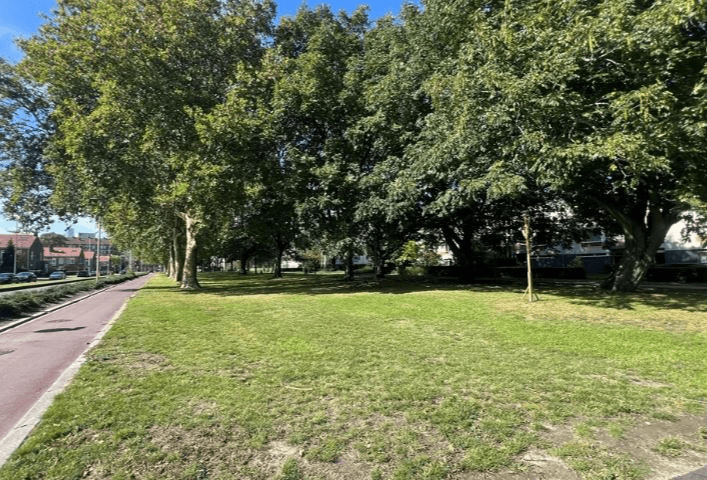 Apartment Brussestraat, Rotterdam - For Rent