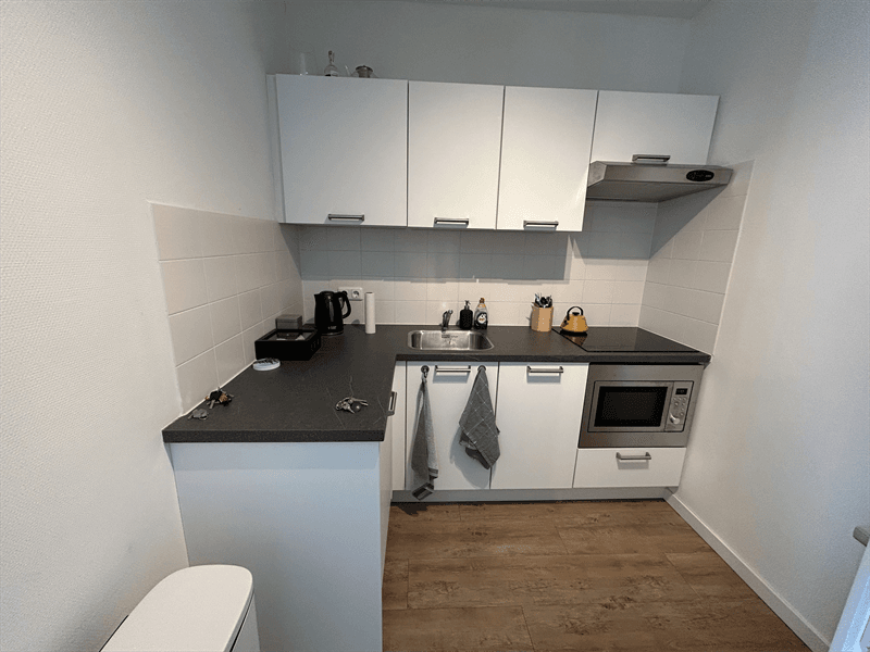 Appartement Hora Siccamasingel, Groningen - Te huur
