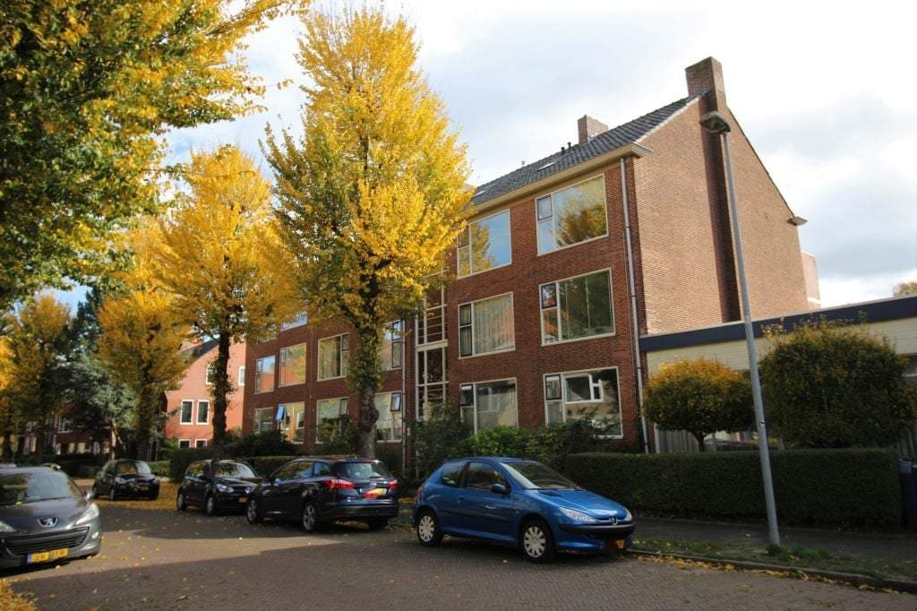 Flat Wagnersingel, Groningen - En alquiler