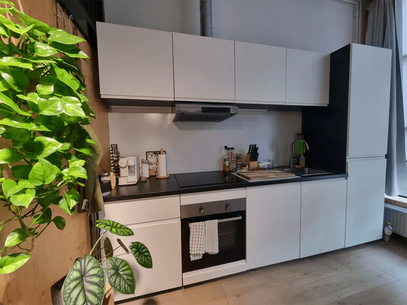 Loft Adriaan van Bergenstraat, Breda - Te Huur