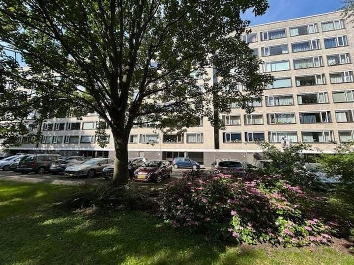 Apartamento de 4 habitaciones en Richard Holstraat, La Haya - En alquiler