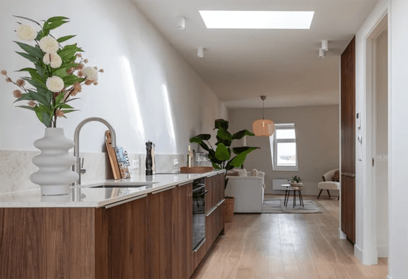 Apartment Bosschestraat, Den Haag - For Rent