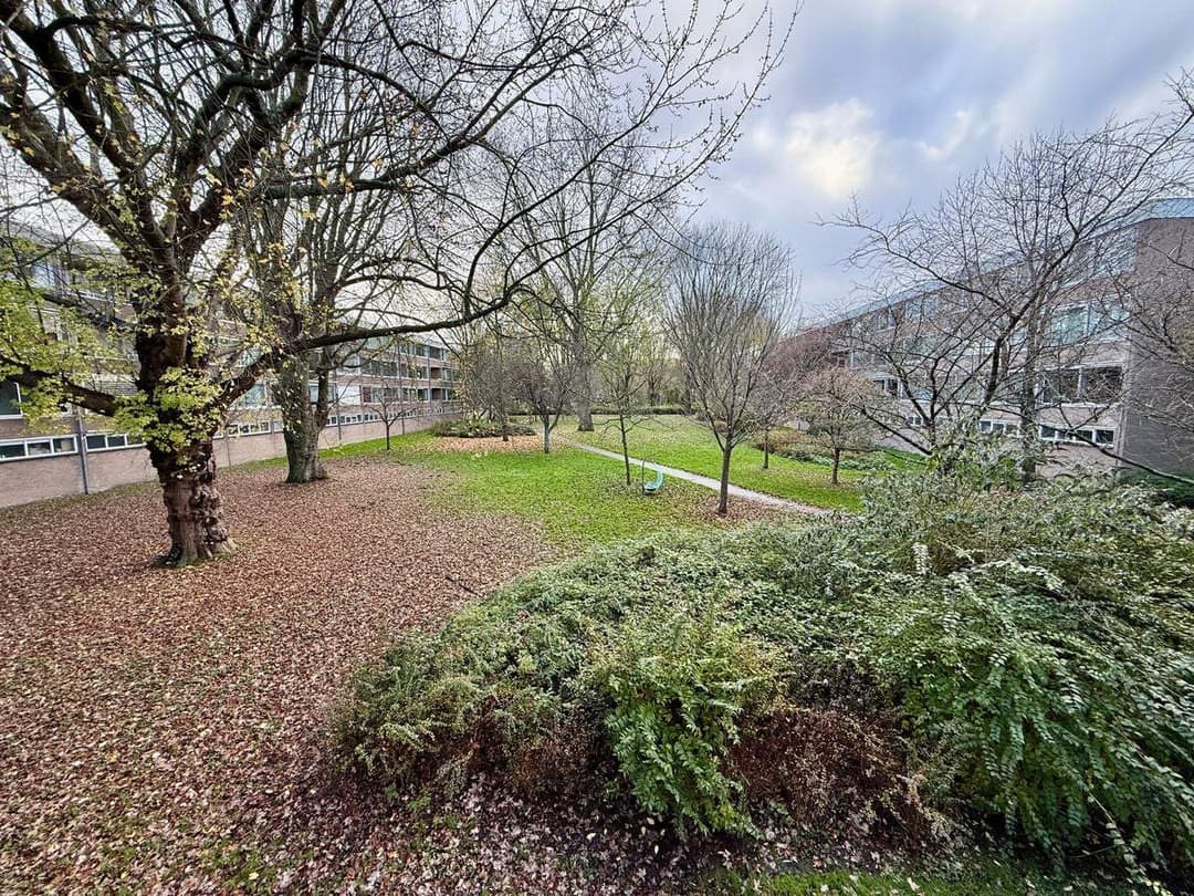 Appartement Gijsbrecht van IJselsteinstraat, Amsterdam - À louer