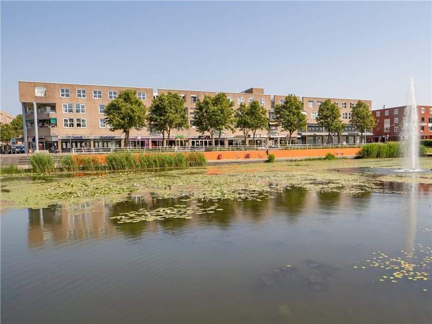 Senior Apartment Muntstraat, Lelystad - For Rent