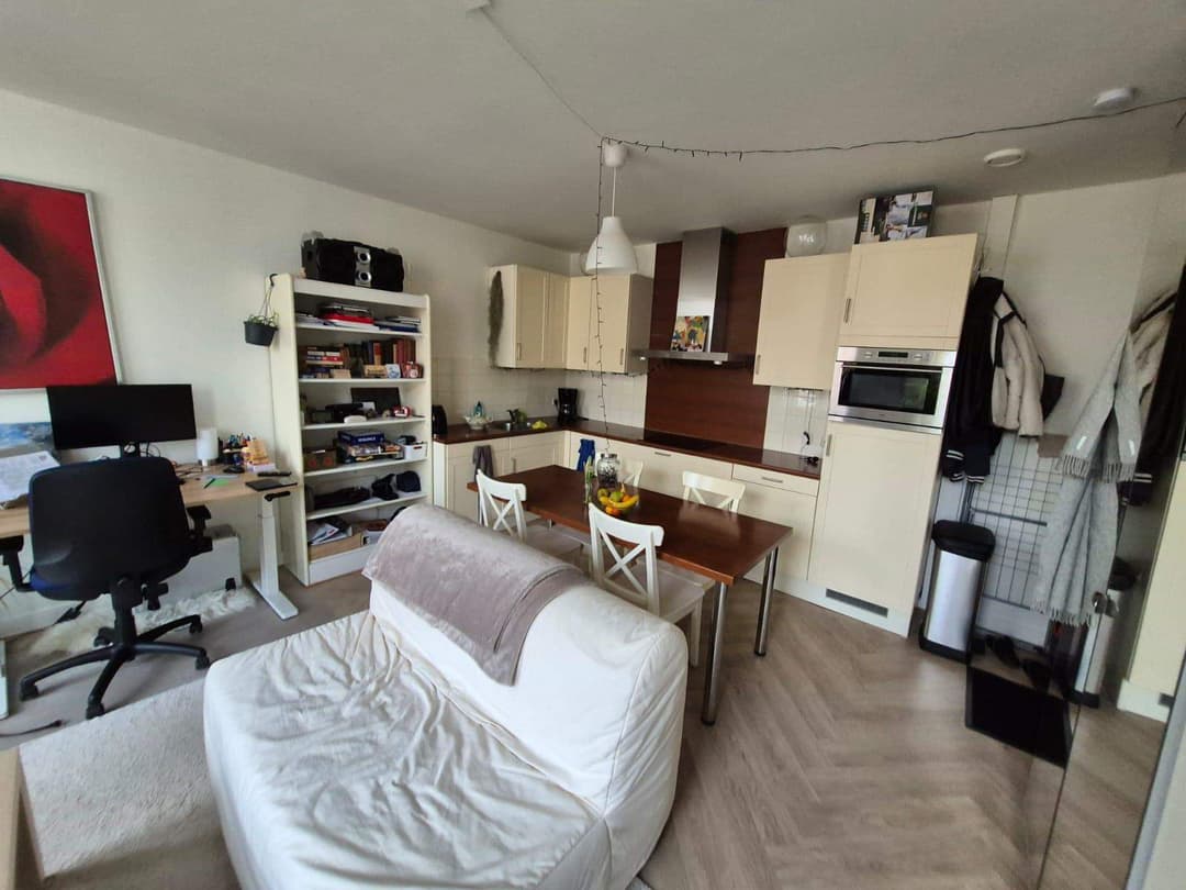 Appartement Meublé Piet Heinstraat, La Haye - À Louer