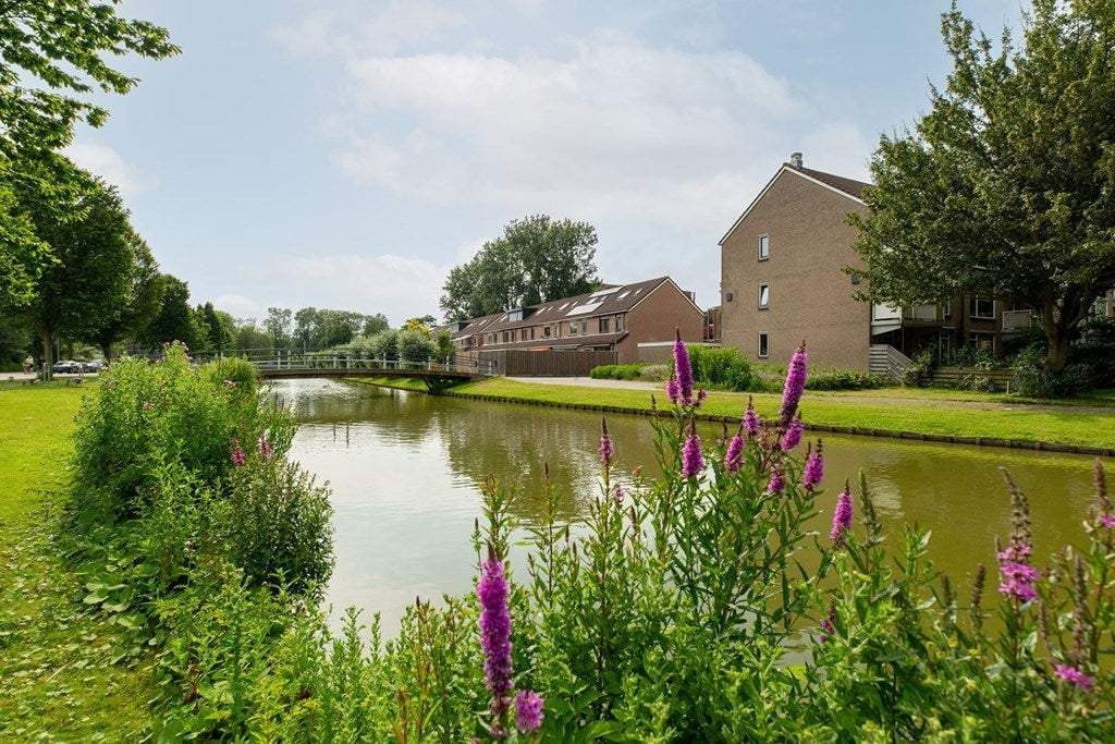 Piso Wiardapad, Rotterdam - En alquiler