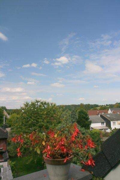 Estudio en alquiler en Kanne, Bélgica