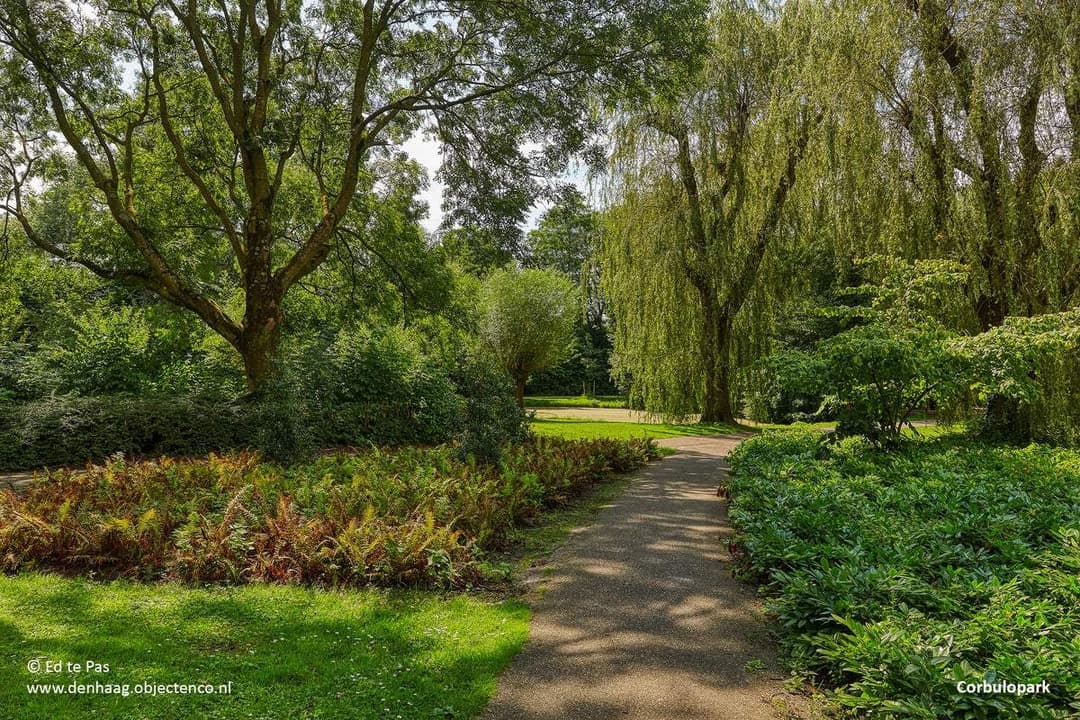 Wohnung Pompe van Meerdervoortstraat, Voorburg - Zur Miete