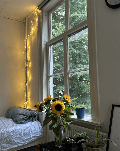 Room for Rent Annastraat, Utrecht City Center