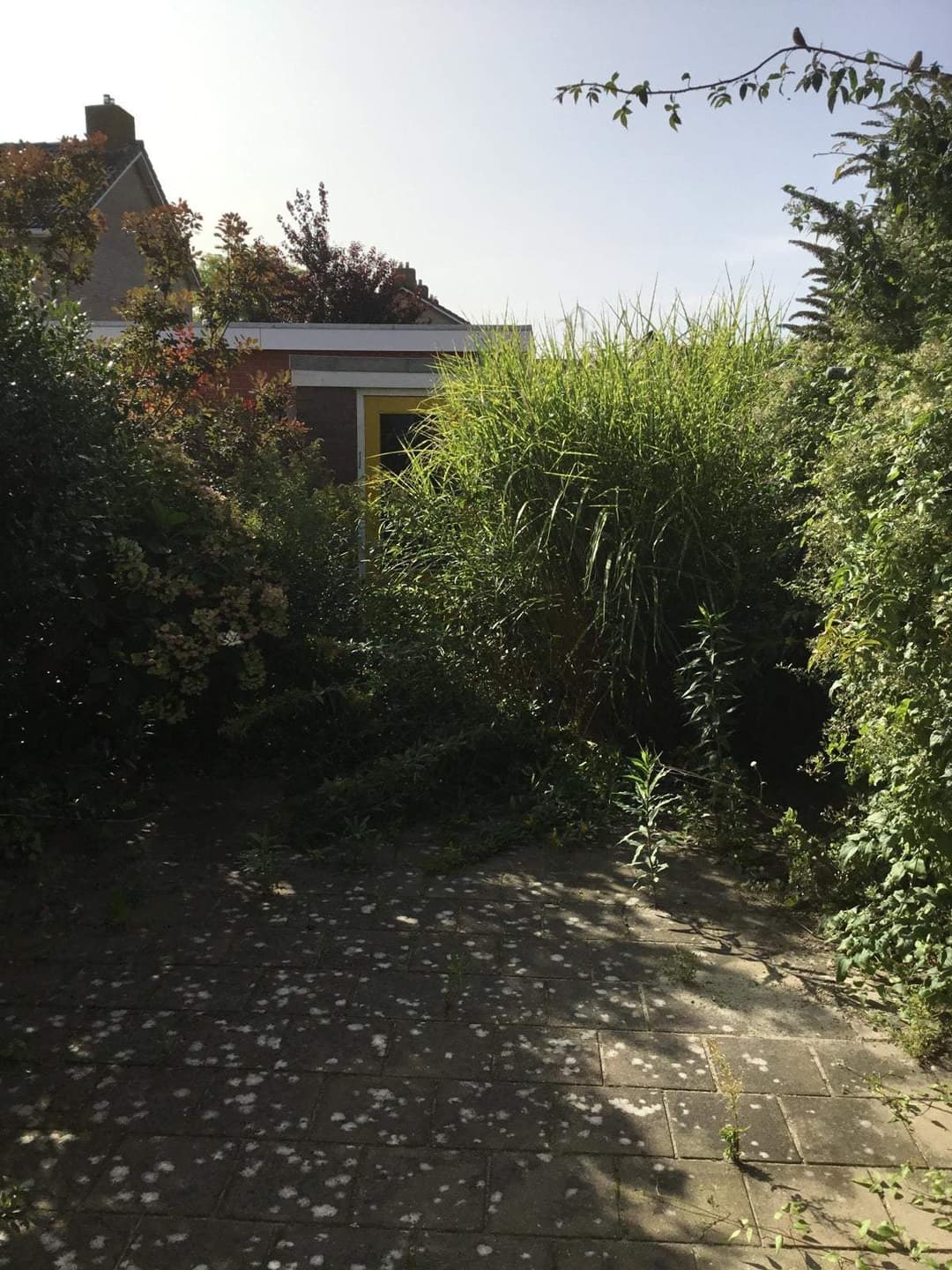 House Huibertplaat, Delfzijl - Zur Miete
