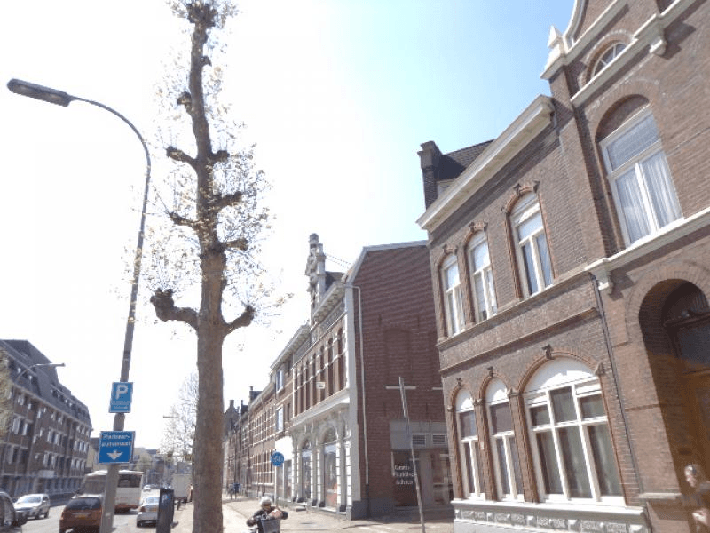 Studio Godsweerdersingel, Roermond - For Rent