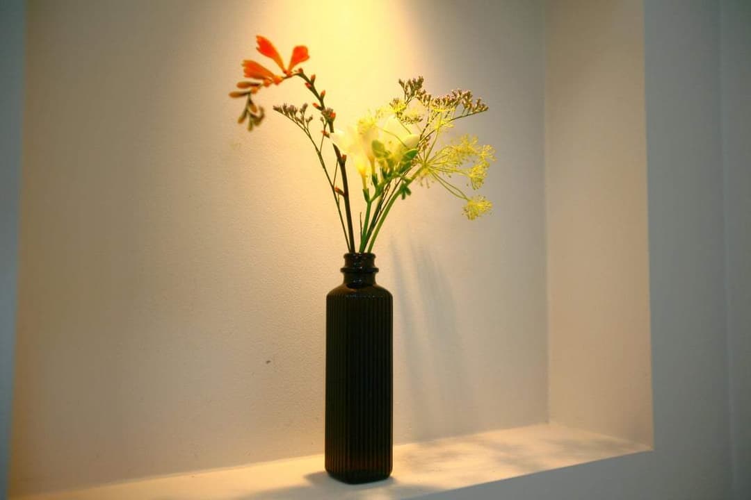 House Nicolaïstraat 79, Den Haag - À Louer