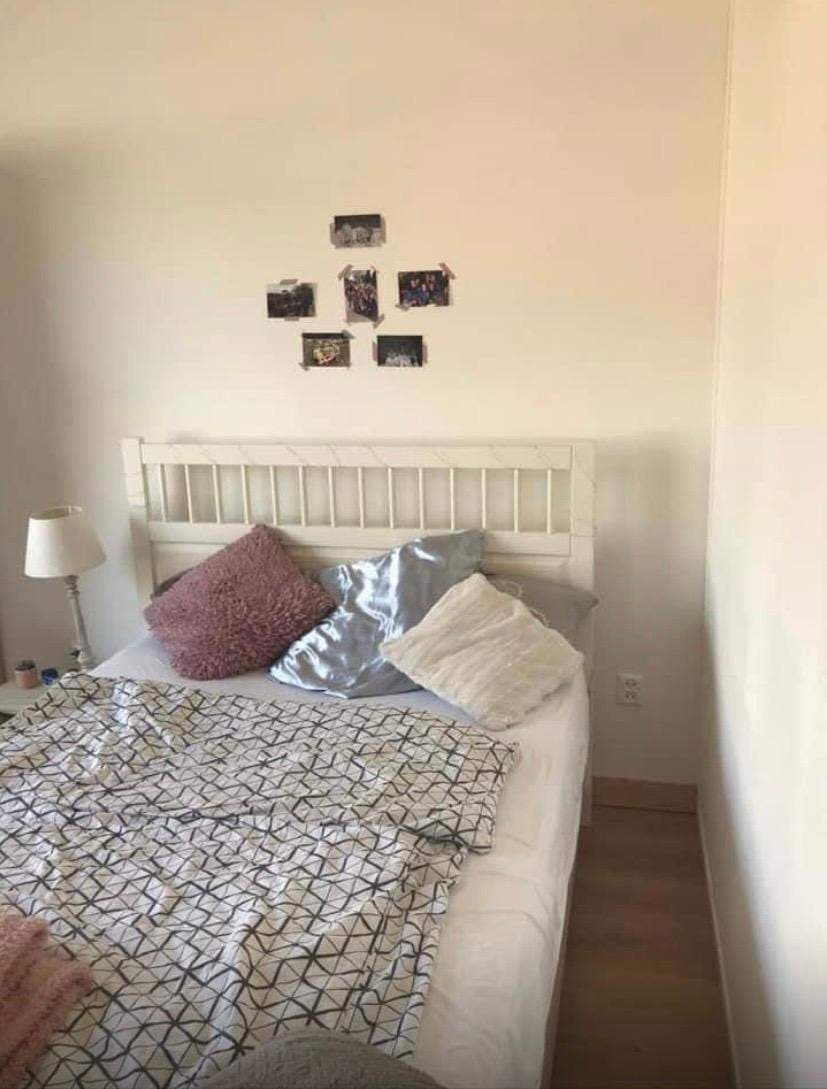 Kamer te huur in Villa Ranonkel, Arnhem