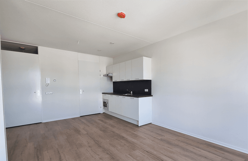 Apartment Friesestraatweg, Groningen - For Rent