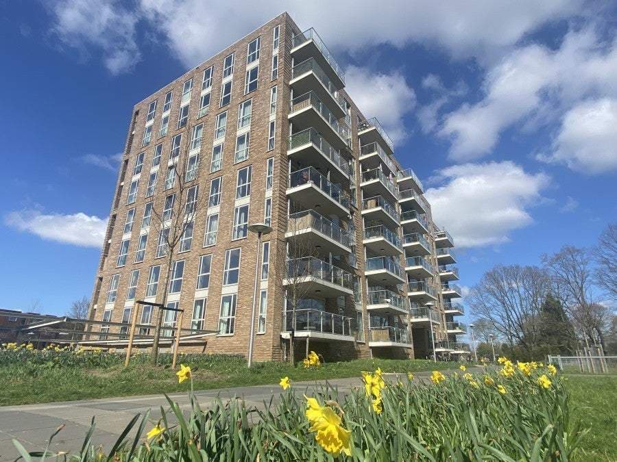 Appartement Winklerlaan, Utrecht - À louer