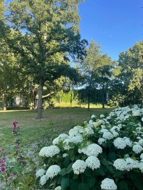 Valeriusstraat 15-A, Schiedam - En alquiler