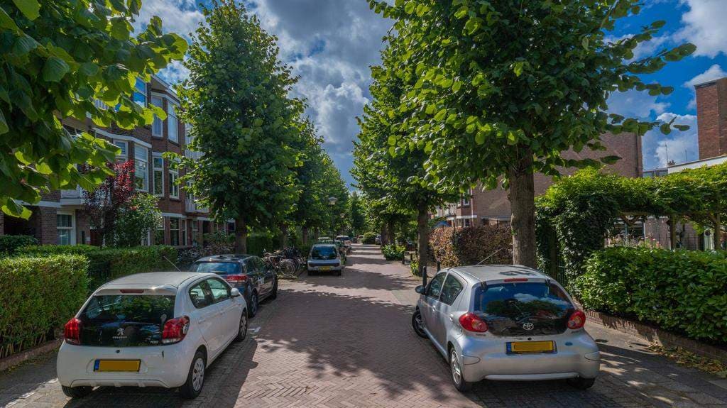 Flat Ieplaan, Rijswijk - Te Huur