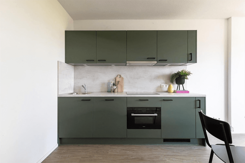 Room for Rent Westblaak, Rotterdam