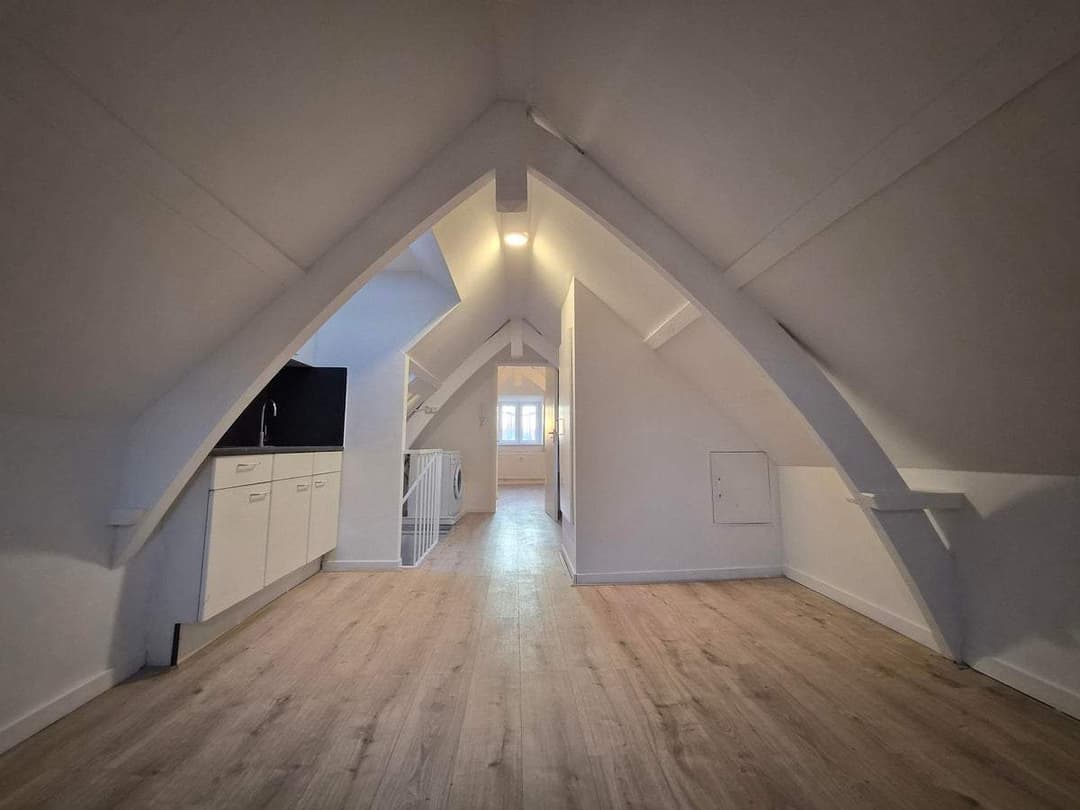 Appartement De Riemerstraat, La Haye - À Louer