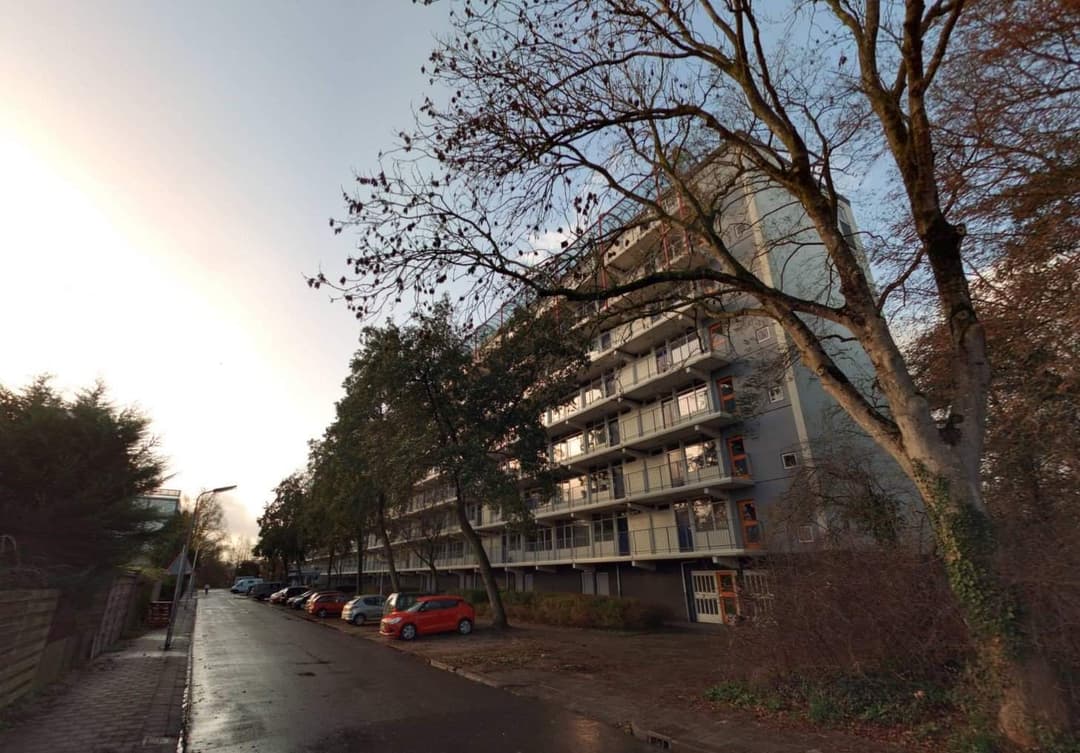 Apartamento de Anjen, Leeuwarden - En Alquiler