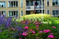 Wohnung Roekenhof, Apeldoorn-Süd - Zur Vermietung