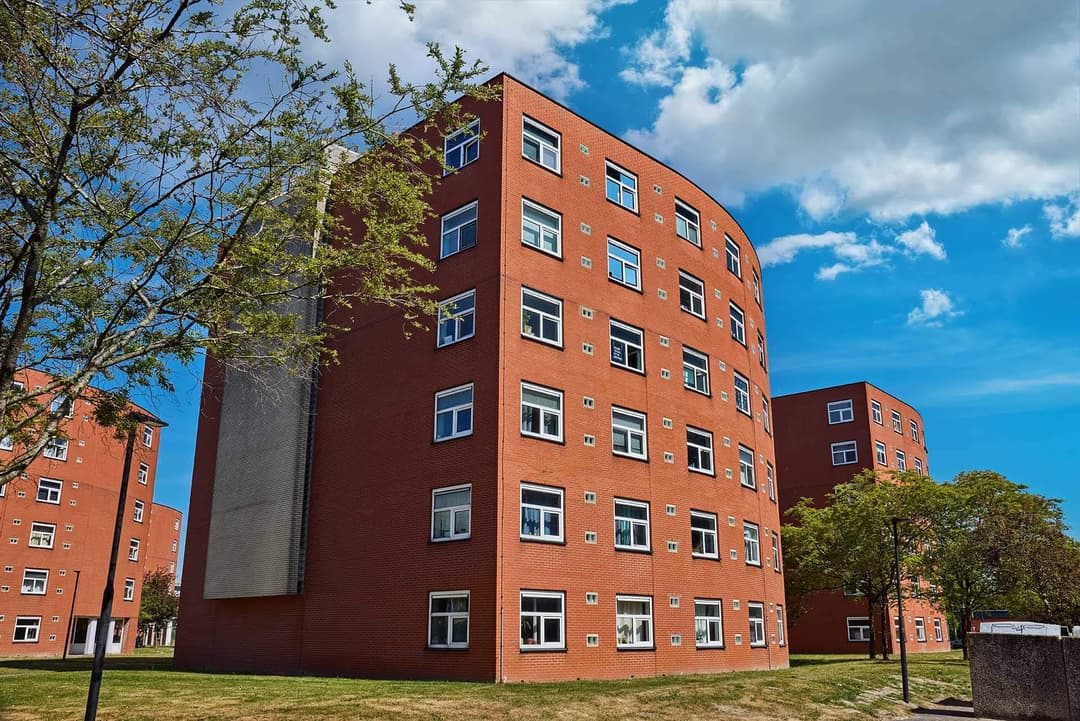 Shared Student Room Opaallaan, Hoofddorp - For Rent