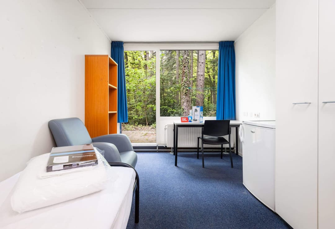 Room Witbreuksweg, Enschede - For Rent