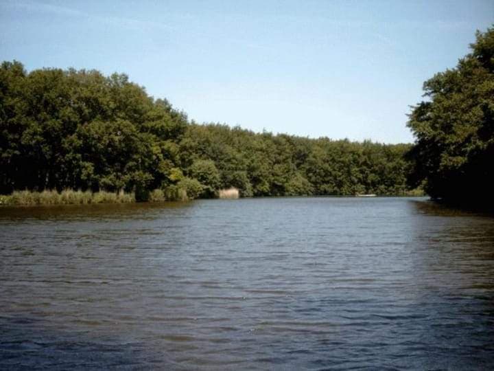 Apartamento Bezuidenhoutseweg, La Haya - Alquiler