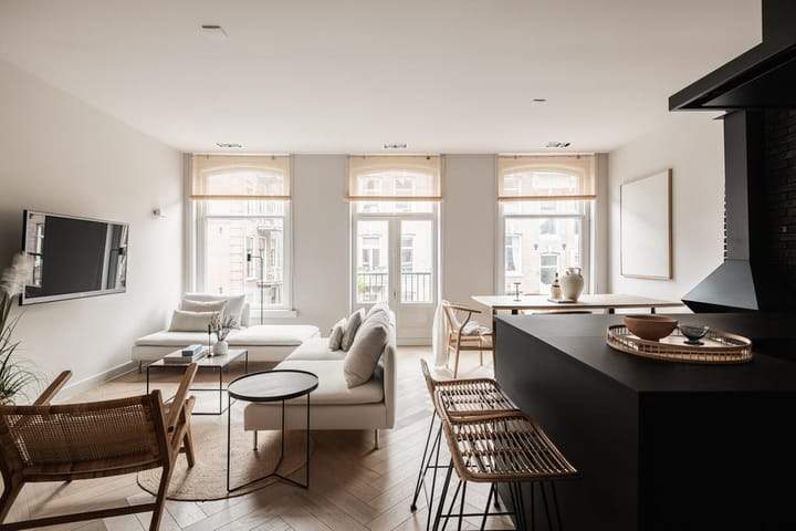 Apartment Tweede Jan Steenstraat, Amsterdam - For Rent