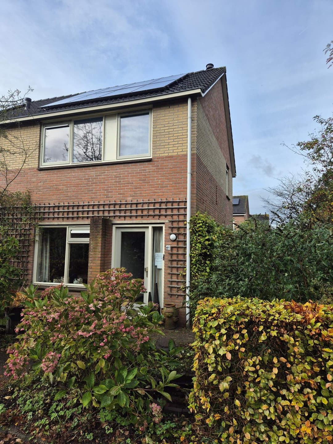 Goudenregen 46, Heino - For Rent