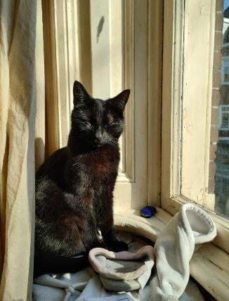 Habitación amueblada en Groningen, Rademarkt - En alquiler