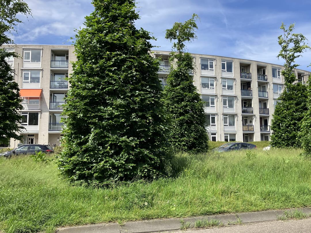 Apartment Etta Palmstraat, Leiden - Zur Miete