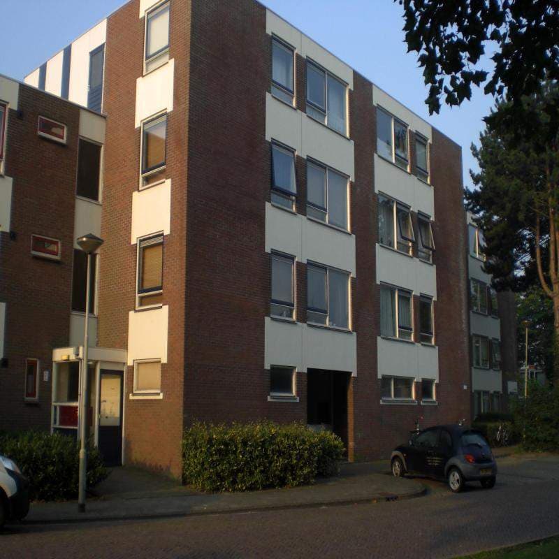 3-Zimmer-Wohnung, Plataanstraat 16, Enkhuizen - Zur Miete