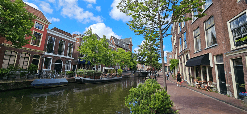 Room for Rent Hogewoerd, Leiden