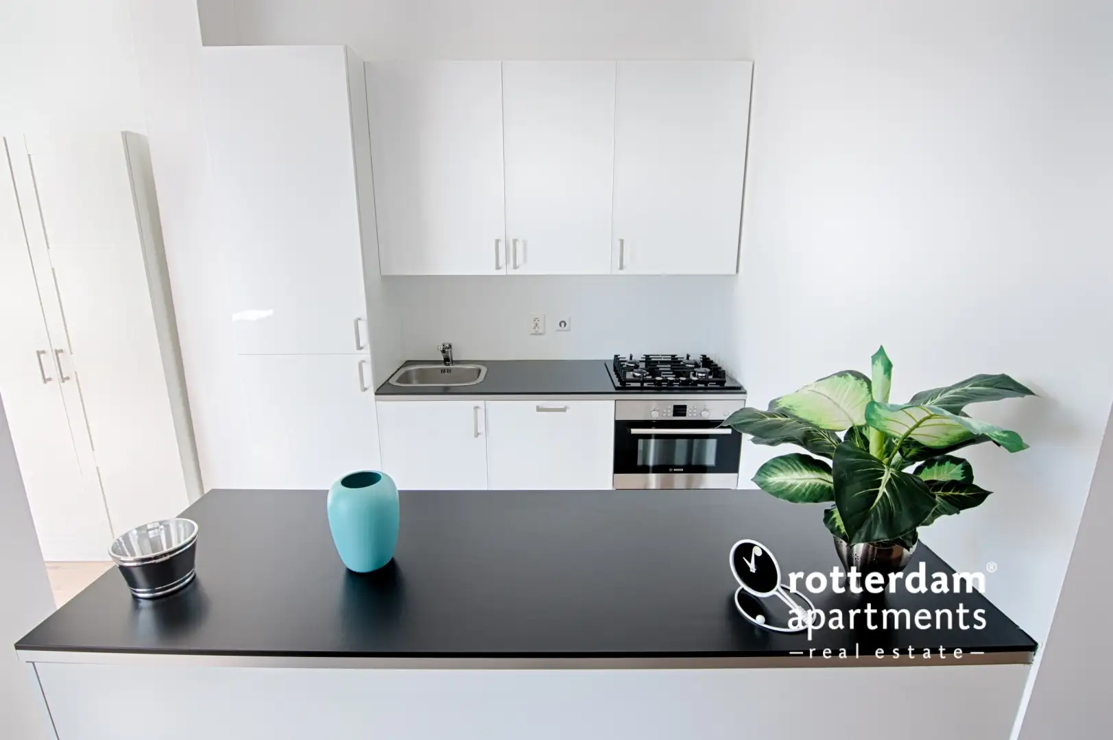Appartement Westersingel, Rotterdam - À louer