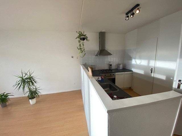 Flat De Rozentuin, Eindhoven - For Rent