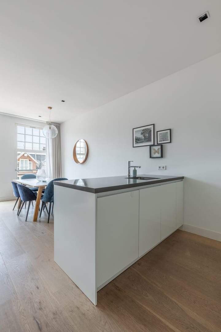 Apartment Van Woustraat, Amsterdam - For Rent