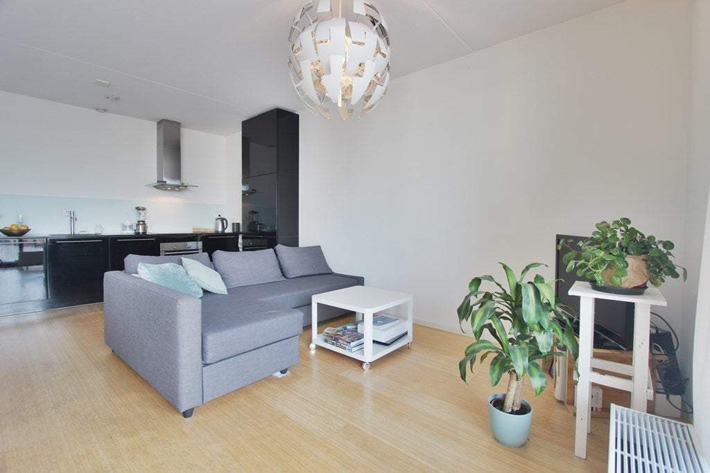 Flat Carolina MacGillavrylaan, Amsterdam - For Rent