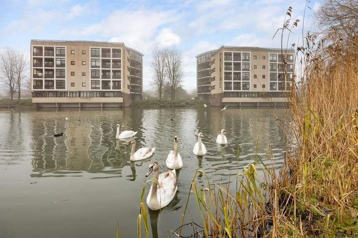 3-Room Apartment in Almere Muziekwijk - For Rent