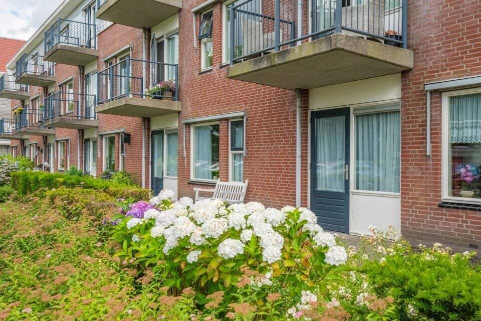 Apartment Zonneweide, Surhuisterveen - For Rent
