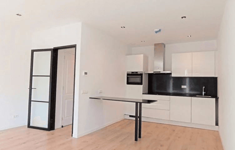 Apartment Snelliussingel, Schiedam - For Rent