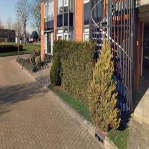 Ground Floor Apartment, Sorghvlietlaan 94, Andijk - For Rent