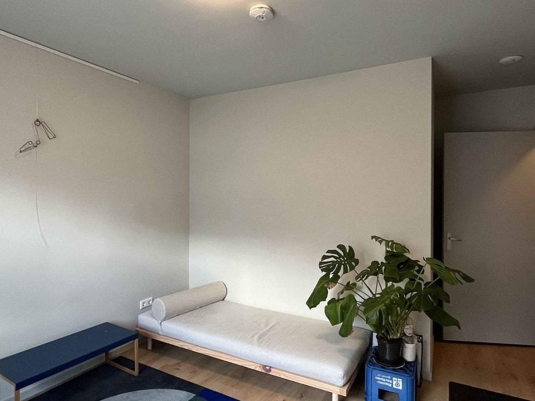 Room for Rent in Eindhoven, Orchideeënstraat