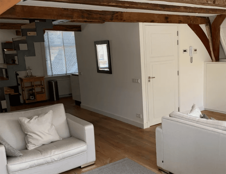 Apartment Nieuwe Rijn, Leiden - For Rent